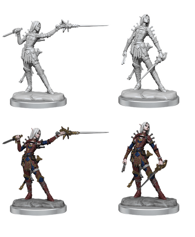 PF LEGENDARY: CUTS WV2 FEMALE ELF ROGUE